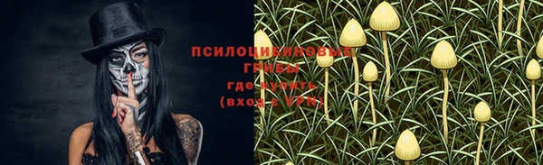 марки lsd Абаза