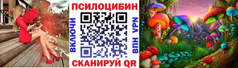 MEGA ссылка  купить закладку  Княгинино  Галлюциногенные грибы Psilocybe 